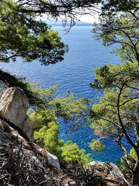 osejava forest park|Visit Forest park Osejava in Makarska 